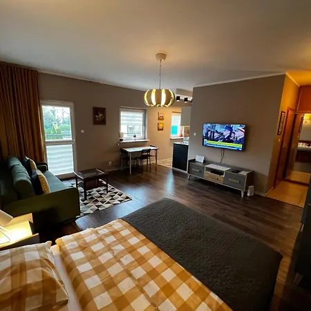 Apartament Friendly -